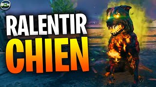 Ralentissez 10 Chien de lEnfer avec le Mod Munition Cryogénisation Zombie MW3 Astuce Emplacement [upl. by Stacia524]