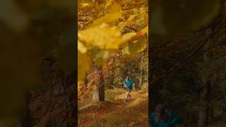 Wieso Du im Herbst auf die Trails solltest trailrunner trailrunning trailrun running [upl. by Ayotas]