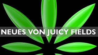 Juicy Fields Update  Neuer Kanal [upl. by Adnauq]