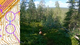 Lapland O Week 2024 day 2  Orienteering Headcam video [upl. by Standice885]