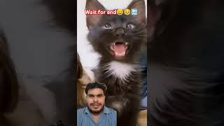 सारा दूध पी गई 😂😂 comedy realfools surajroxfunnyvibeo vikramcomedyvideo [upl. by Roderich]