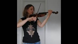 Windir  Arntor a Warrior  Caroline Salmona  violin cover [upl. by Aicenet922]