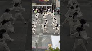 Toyohashi japan festival youtubeshorts youtube [upl. by Nangem]