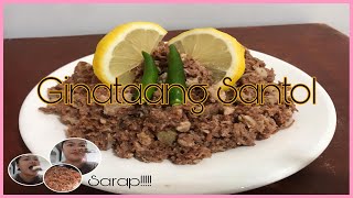 Ginataang Santol [upl. by Orteip]