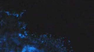 Blue glow ocean bioluminescence in Cairns [upl. by Adolpho]