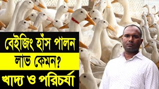 বেইজিং হাঁস পালনে সফল  মাংসের জন্য করে এখন প্যারেন্টস করছেন  Beijing Haser Khamar  Safollo Kotha [upl. by Jaunita]