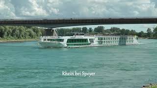 MS quotLADY DILETTAquot  neu auf dem Rhein [upl. by Jereld692]