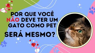 Por Que Você Não Deve Ter Um Gato Como Pet Será Mesmo [upl. by Earissed]