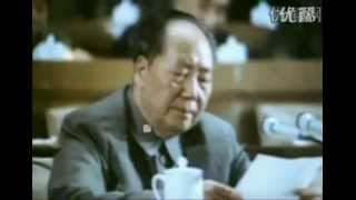 Mao Zedongs Speech at the 9th National Congress of the Communist Party of China [upl. by Alexandr]