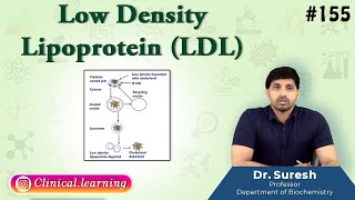 155 Low Density Lipoprotein LDL [upl. by Manly]