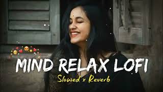 Mind Relax Lofi Slowed reward Mind relax Lofi Song love Mashup Lofi Song 🎧😊🎧 [upl. by Affay]