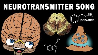 THE NEUROTRANSMITTER SONG [upl. by Chute]