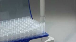 How to use the Forward Pipetting technique with Eppendorf Research® plus mechanical pipettes [upl. by Airalednac225]