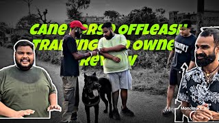 Huge Cane Corso 5th Day Offleash Training Update Offleash Training Tips  Offleash Public Reaction [upl. by Malim]