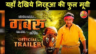 Bhojpuri Film Gabbroo Full Movie I Dinesh Lal Yadav Nirhua and Aamrapali Dubey [upl. by Slade878]