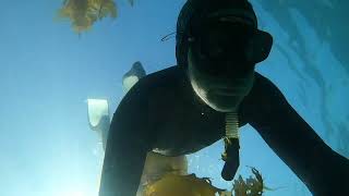 Laguna Beach Freediving  Episode 4 [upl. by Warga]