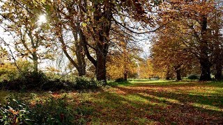 Magical Hever Castle in autumn  part 3 [upl. by Lamag676]