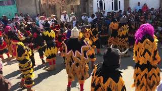 Changos en Cheran Michoacán la boda de los changos 2018 [upl. by Eelynnhoj281]