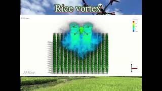 The fluidstructure interaction between the rice canopy and the downwash airflow of a quadcopter UAV [upl. by Keligot592]