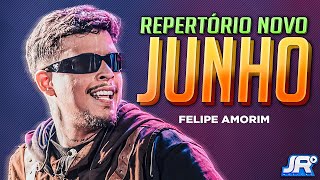 Felipe Amorim  Repertório Novo  Junho 2024  São João 2024  Músicas Novas [upl. by Dyrraj]