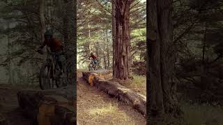 New log ride skinny  Quarry Park mtb [upl. by Asserrac]