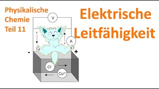 Wie bewegen sich Ionen in Elektrolyten quotElektrische Leitfähigkeitquot [upl. by Notsob115]