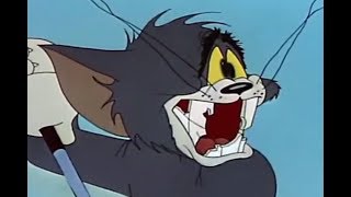 Tom And Jerry English Episodes  Jerrys Diary  Cartoons For Kids [upl. by Ecinert619]