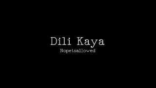 Dili Kaya  Nopetsallowed Lyrics [upl. by Hnib]