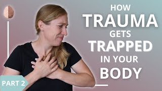 How Trauma Gets Trapped in Your Body and Nervous System 23 [upl. by Onilatac]