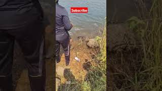 Rahu Fish Escaped carps bassfishing fish fishing fishingvideo bigcarp escape shorts nature [upl. by Thora]