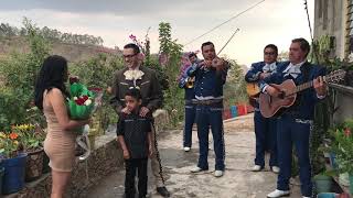 Mariachi Proposal  Propuesta de Matrimonio con Mariachi [upl. by Hillel101]