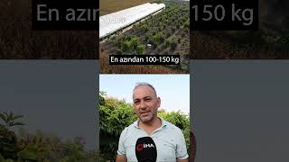 Kafayı Mı Yedin Dediler Atıl Arazide Üretti Siparişlere Yetişemiyor  AGRO TV HABER [upl. by Duster]