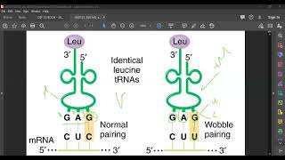 L101 The genetic code [upl. by Eberhard]