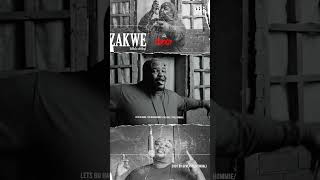 Zakwe Isihlalo Sobukhosi Promo Video zakwe [upl. by Iznek]