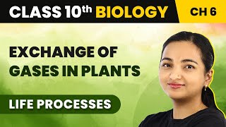 Class 10 Biology Chapter 6  Exchange of Gases in Plants  Life Processes [upl. by Learrsi]