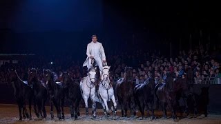 LORENZO INTERNATIONAL HORSE SHOW HD [upl. by Grania]