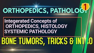 BONE TUMORS Part 1 INTODUCTION amp TRICKS ORTHOPEDICS LECTURES NEET PG INICET SYSTEMIC PATHOLOGY [upl. by Surat]