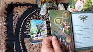 Tirage et Review Le tarot du jardin de la sorcière en Français [upl. by Missy]