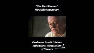 PBS NOVA documentary “The First Flower” Dr David Dilcher talks about the function of flowers [upl. by Ralina]