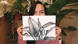 My Charcoal Plant Drawings [upl. by Zohar]