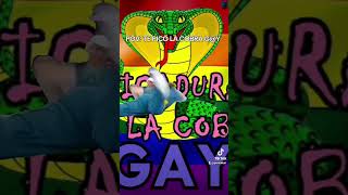 Picadura de la cobra LGBT humor comedia musica music lgbt [upl. by Gran]