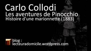 Les aventures de Pinocchio  Carlo Collodi  27 [upl. by Griff901]