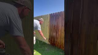 Spraying fence stain with a pump sprayer fenceconstruction fencebuilding fencestaining [upl. by Serrano]