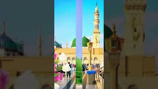 ho karam Sarkar ab to zindagii ke beshumar New Naat 2024ytshorts shortfeed trending newnaat [upl. by Lacy]