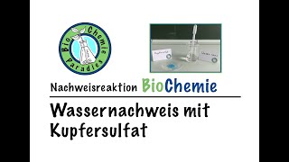 Nachweisreaktion BioChemie – Wassernachweis mit Kupfersulfat [upl. by Nerac507]