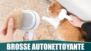 LA MEILLEURE BROSSE POUR POILS DE CHAT amp CHIEN  Aumuca [upl. by Octavian]