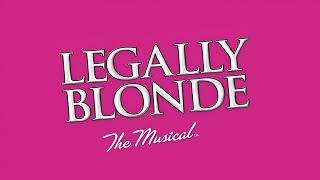 Legally Blonde Ireland Backing Track [upl. by Skerl]