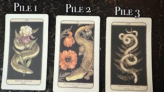 October 2024 Predictions 🎃 Pick a Card [upl. by Iveksarap238]