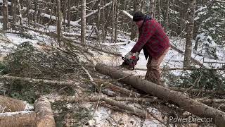 More pasture clearing Ford 860  EFCO chainsaw [upl. by Hauser]