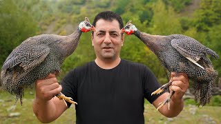 GUINEA FOWL COOKING IN OVEN  TANDOORI BAKED RECIPE  ROASTED TEETARI BY WILDERNESS COOKING [upl. by Ivo796]